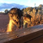 Matt Baney - @bane0020 - Instagram