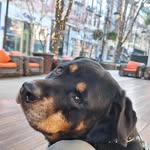 Matt Barrera - @boli_barrera - Instagram