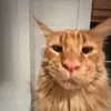 matt.barta - @matt.barta - TikTok