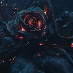 Matt Bartley - @matt_bartley_ - Instagram