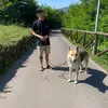 mattbarto96 - @mattbarto96 - TikTok