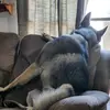 mattbasham361 - @mattbasham361 - TikTok