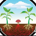 Matt Batchelder - @fun_guy_compost - Instagram