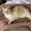 :) - @matt.batchelor - TikTok