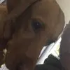 Matthew Batchelor - @matthew.batchelor1 - TikTok