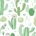 Matt_baylor - @shopcactusco1 - Instagram