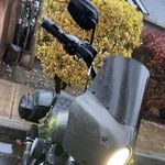 Matt Beardsley - @mattbeardsley1213 - Instagram