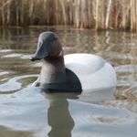 Matt Beardsley - @mbeards78 - Instagram
