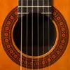 matthewbeaubien - @matthew_ofguitarfame - TikTok