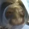 mattbeaupre2 - @mattbeaupre2 - TikTok