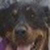mattbeckley448 - @mattbeckley448 - TikTok