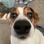 Matt Bedard - @matt.barton7 - Instagram