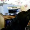 Matt Bedell - @matt.bedell - TikTok