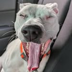Matt Bedwell - @bedwell_matt - Instagram