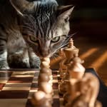 MattBeer - @mattbeer9 - Instagram