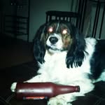 Matt Behler - @kodachromattic - Instagram