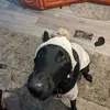 Matt Behrmann - @matt.behrmann - TikTok
