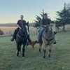 Matt A Beitz - @mattabeitz - TikTok
