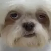 mattbekh - @mattbekh - TikTok