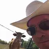 Matt Belew - @matt.belew - TikTok