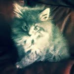 Matt Belisle - @lifecloud77 - Instagram