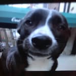 Matt Berg - @matt_bergy_ - Instagram