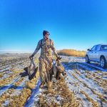 Matt Berger - @mattberger1 - Instagram