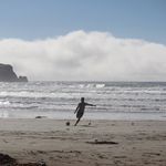 Matt Bernal - @mattbernal10 - Instagram