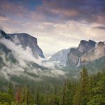Matt Bertram - @mattbertram556 - Instagram
