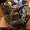 Hi - @mattayblomquist2.0 - TikTok