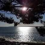 Matthew Blomquist - @blomquistmatthew - Instagram