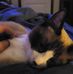 Mathew Boettner - Facebook