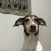 matías - @matiboettnerr - TikTok