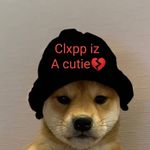 Matt Boles - @30.clxppfn - Instagram