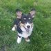 Matthew Boltz - Facebook