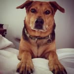 Matt Boothe - @mtbhwy21 - Instagram