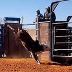 Matt Bowles - @luckyfarmbuckingbulls - Instagram