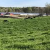 mattbowles167 - @mattbowles167 - TikTok
