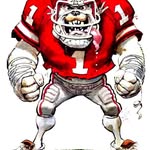 Matt Braswell - @mattgodawgs - Instagram