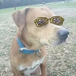 Matt Braswell - @braswell.matt - Instagram