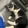 Matthew Braswell - @matthew.braswell5 - TikTok