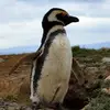 Matthew Braswell - @matthew.braswell4 - TikTok