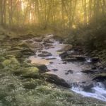 Matt Bratcher - @mattbratcher - Instagram
