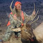Matt Bratcher - @trophy_skull_works_ - Instagram