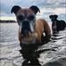 Matt Breen - Facebook