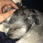 Matt Brenner - @matt_brenn - Instagram