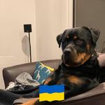 Matt Brindley - @matthew.brindley.31 - Instagram