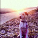 Matt Brinker - @mbdog12 - Instagram