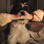 Matt Brinker - @brinkerm9 - Instagram