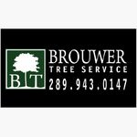 Matt Brouwer - @brouwer_tree_service - Instagram